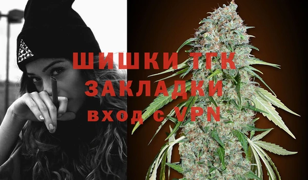 стаф Баксан